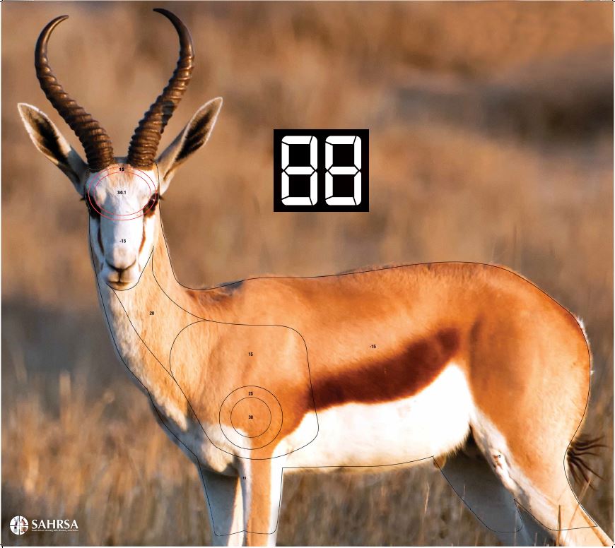 Targets Sa Hunting Rifle